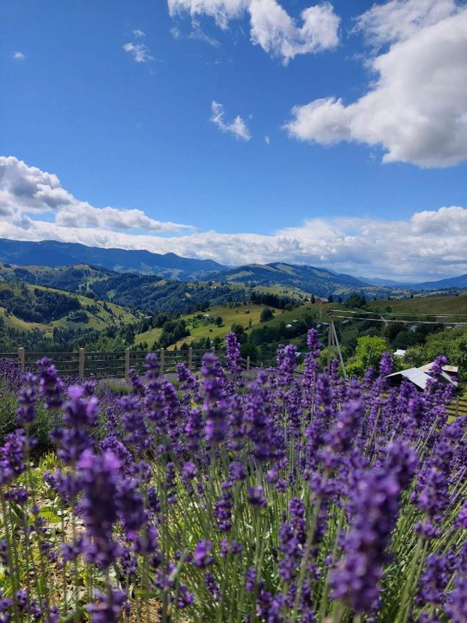 Lavender Valley Perekrestnoye Εξωτερικό φωτογραφία
