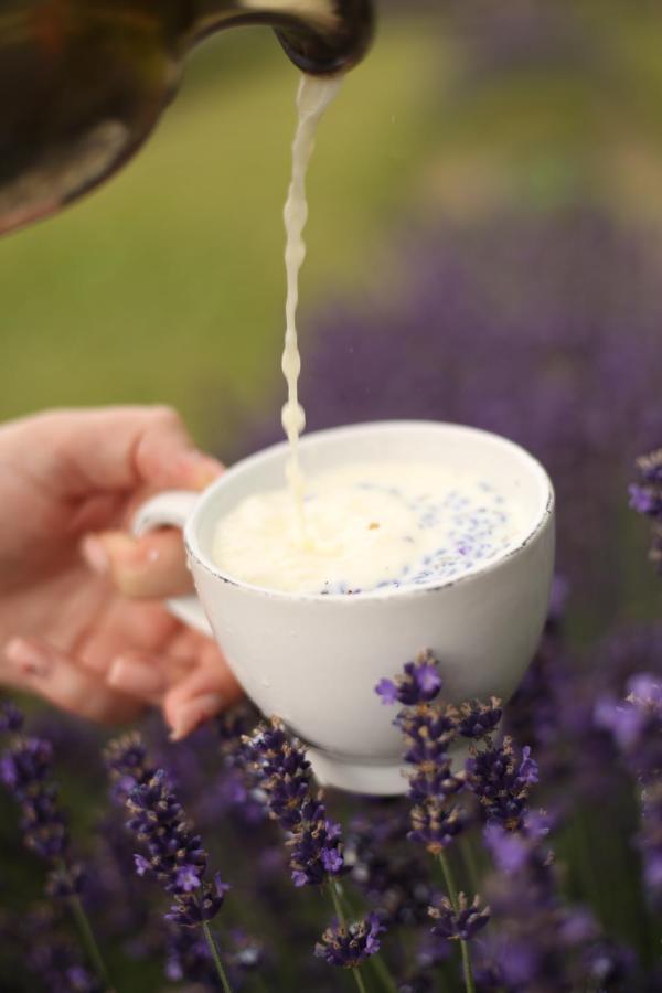 Lavender Valley Perekrestnoye Εξωτερικό φωτογραφία