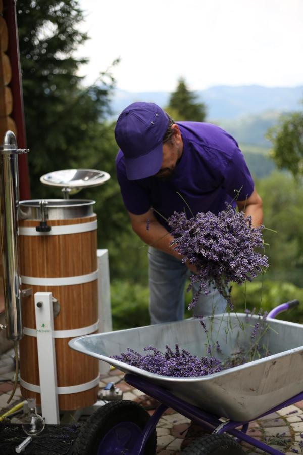 Lavender Valley Perekrestnoye Εξωτερικό φωτογραφία